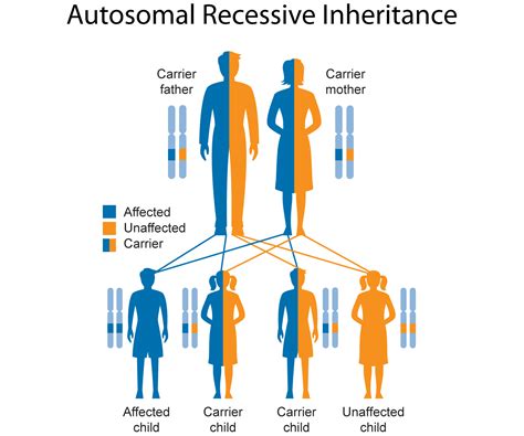 are kinks inherited|Study: Sexual Desire is in Your Genes 